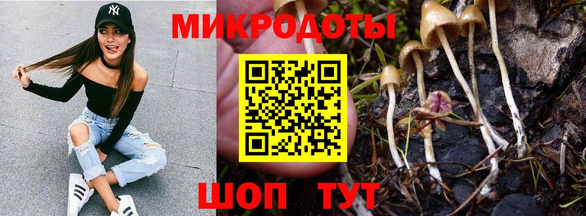 где можно купить   Галлюциногенные грибы Cubensis  Вход с VPN  Аргун 