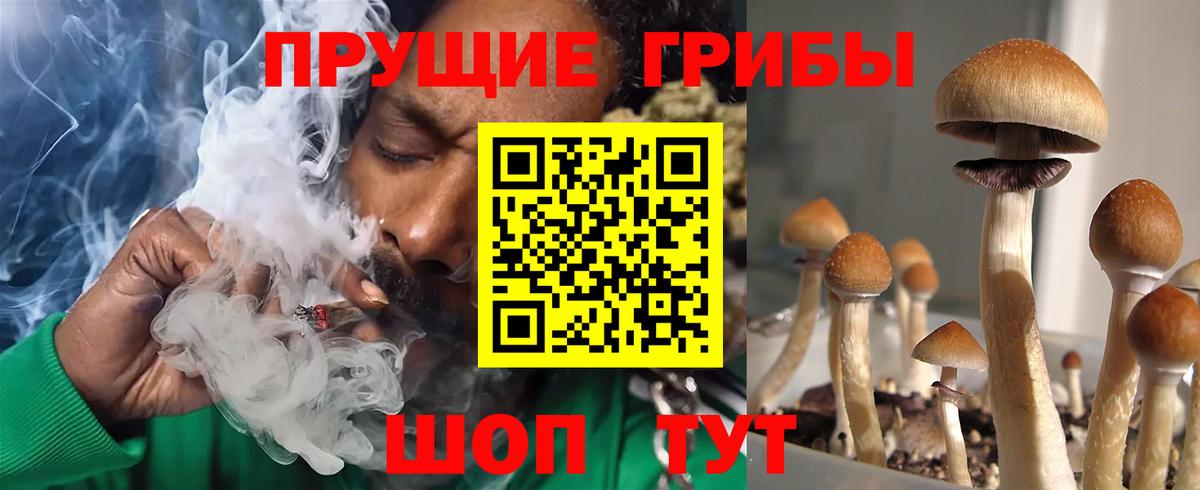 Псилоцибиновые грибы GOLDEN TEACHER Аргун